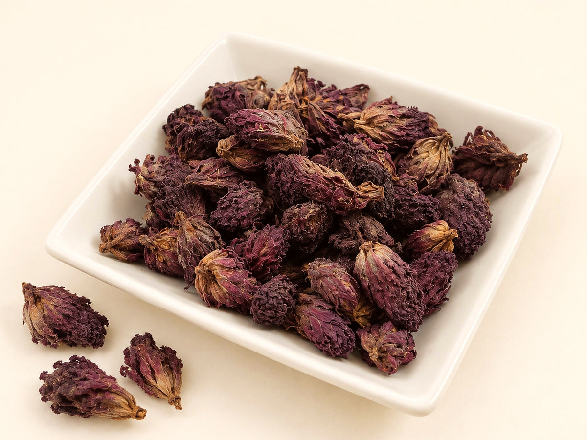 Indian Warrior Herb Buds | Pedicularis densiflora | Wildcrafted Botanical Herb