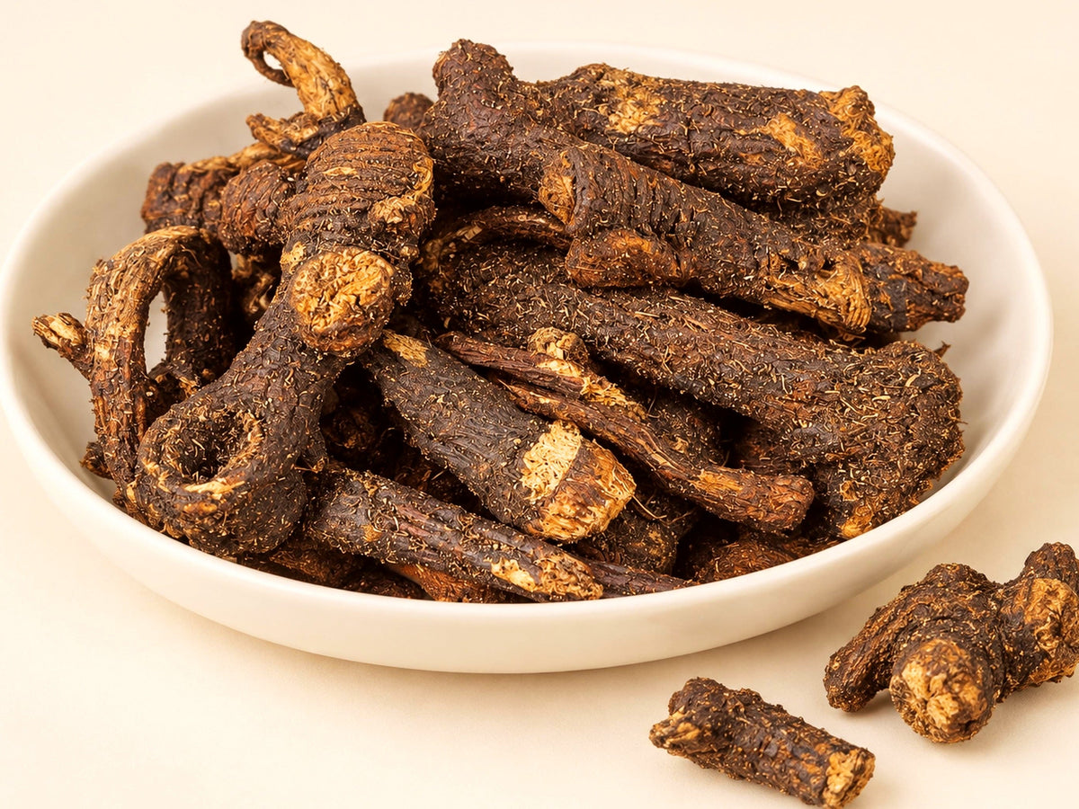 Osha Root (Ligusticum porteri) | Rare Whole Root Botanical Herb | Wild Crafted