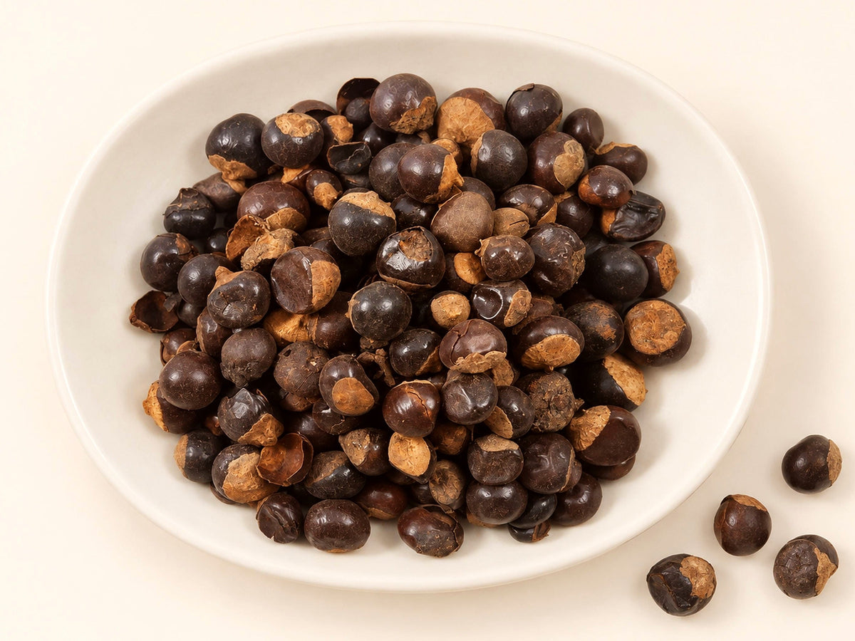 Whole Guarana Seeds | Paullinia cupana | Dried Botanical Seeds | Wild Crafted