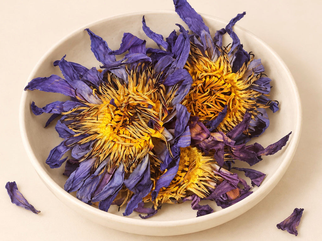 Blue Lotus Whole Flowers | Nymphaea caerulea | Egyptian Water Lily | Wild Crafted