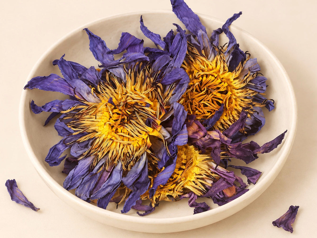 Botanical Discovery Sample Set