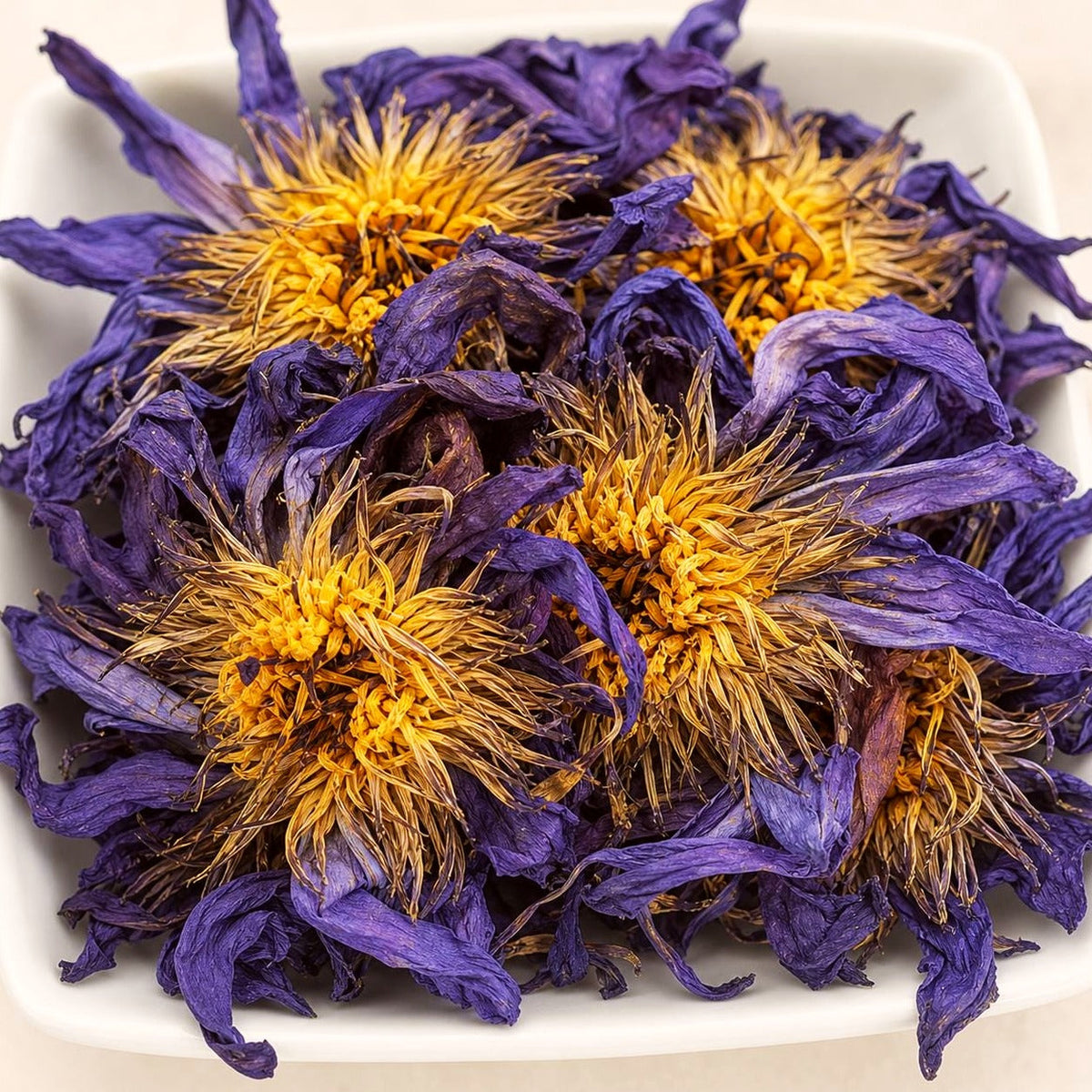 Blue Lotus Whole Flowers | Nymphaea caerulea | Egyptian Water Lily | Wild Crafted