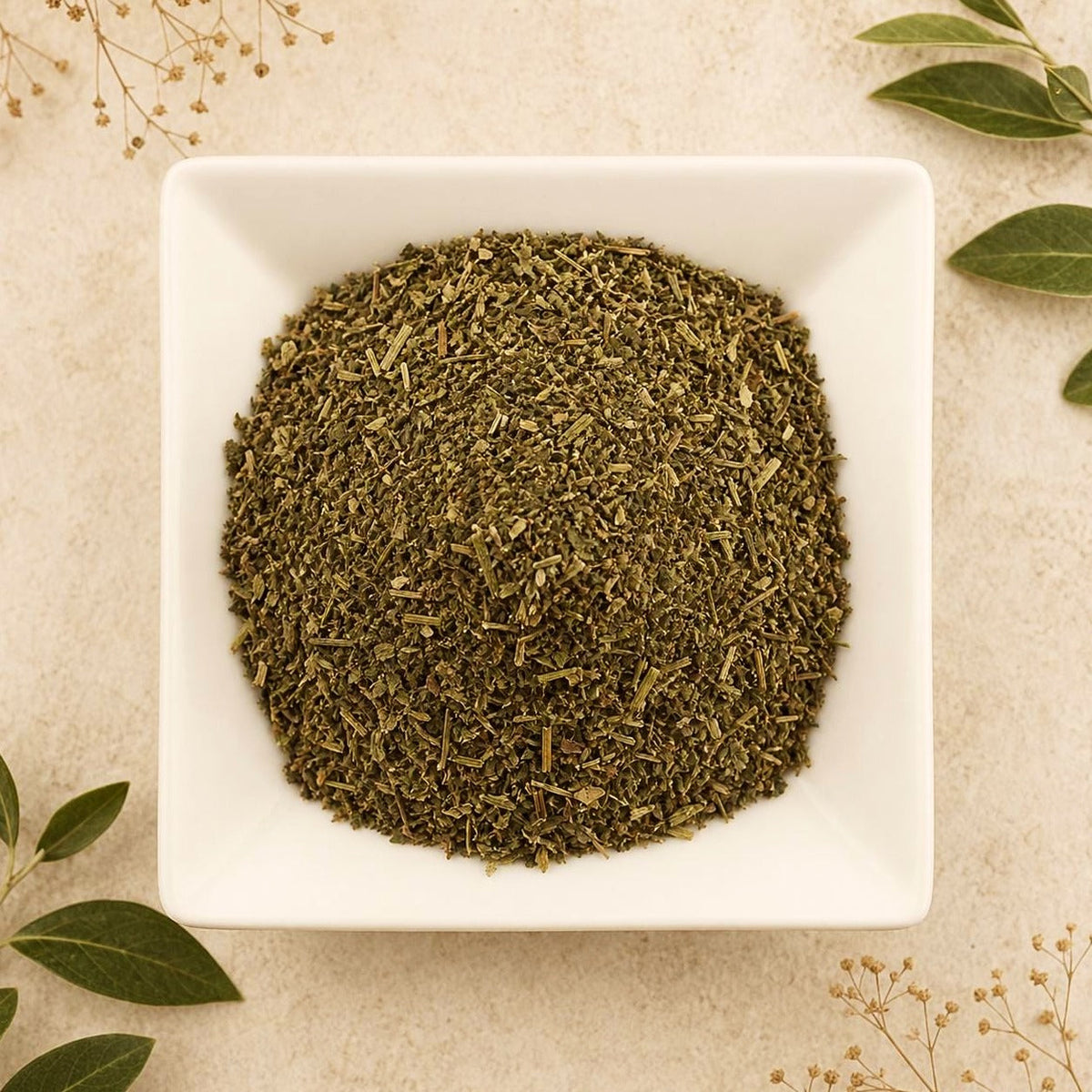 Damiana Leaf | Turnera diffusa | Cut & Sifted Herbal Tea Ingredient | Wild Crafted