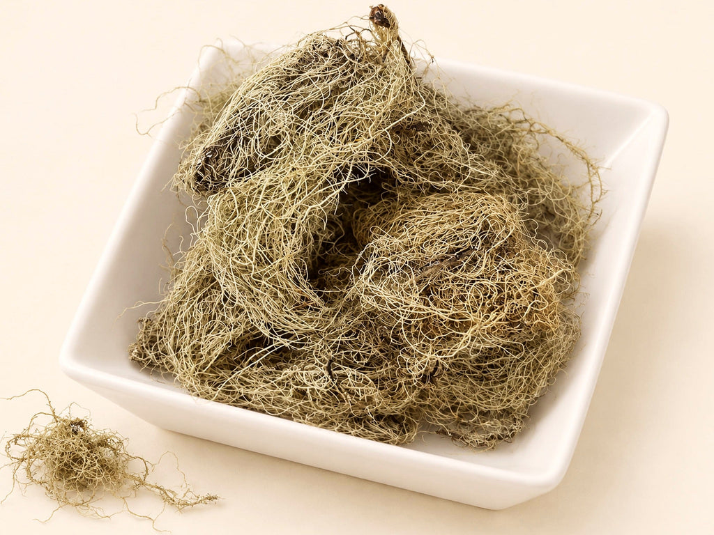 Usnea Lichen | Usnea barbata | Wildcrafted Old Man's Beard
