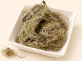 Usnea Lichen | Usnea barbata | Wildcrafted Old Man's Beard