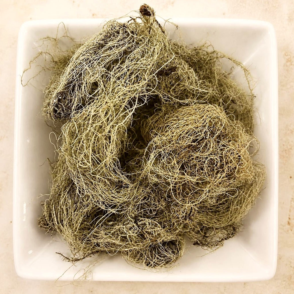Usnea Lichen | Usnea barbata | Wildcrafted Old Man's Beard
