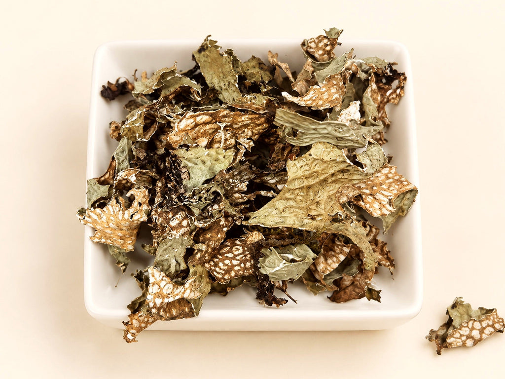 Lungwort Herb | Pulmonaria | Cut & Sifted Botanical | Wild Crafted