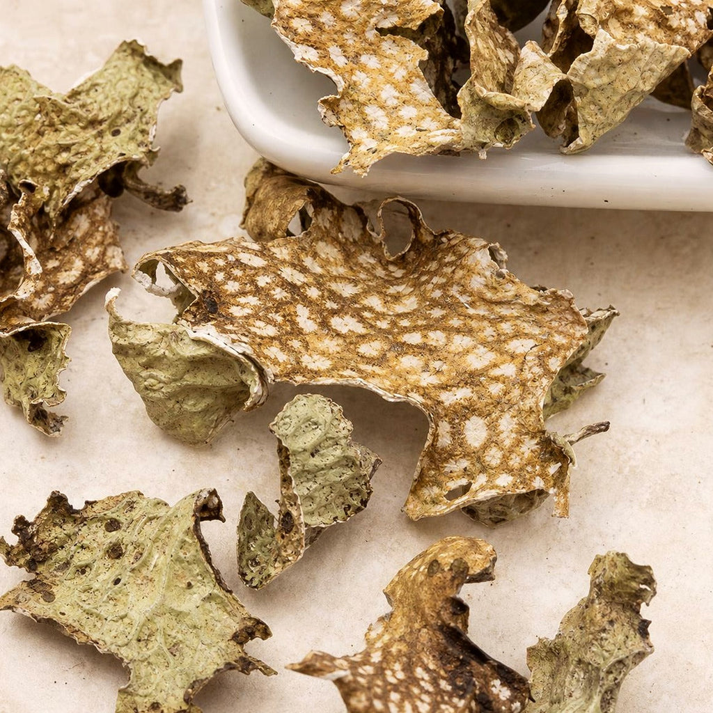Lungwort Herb | Pulmonaria | Cut & Sifted Botanical | Wild Crafted