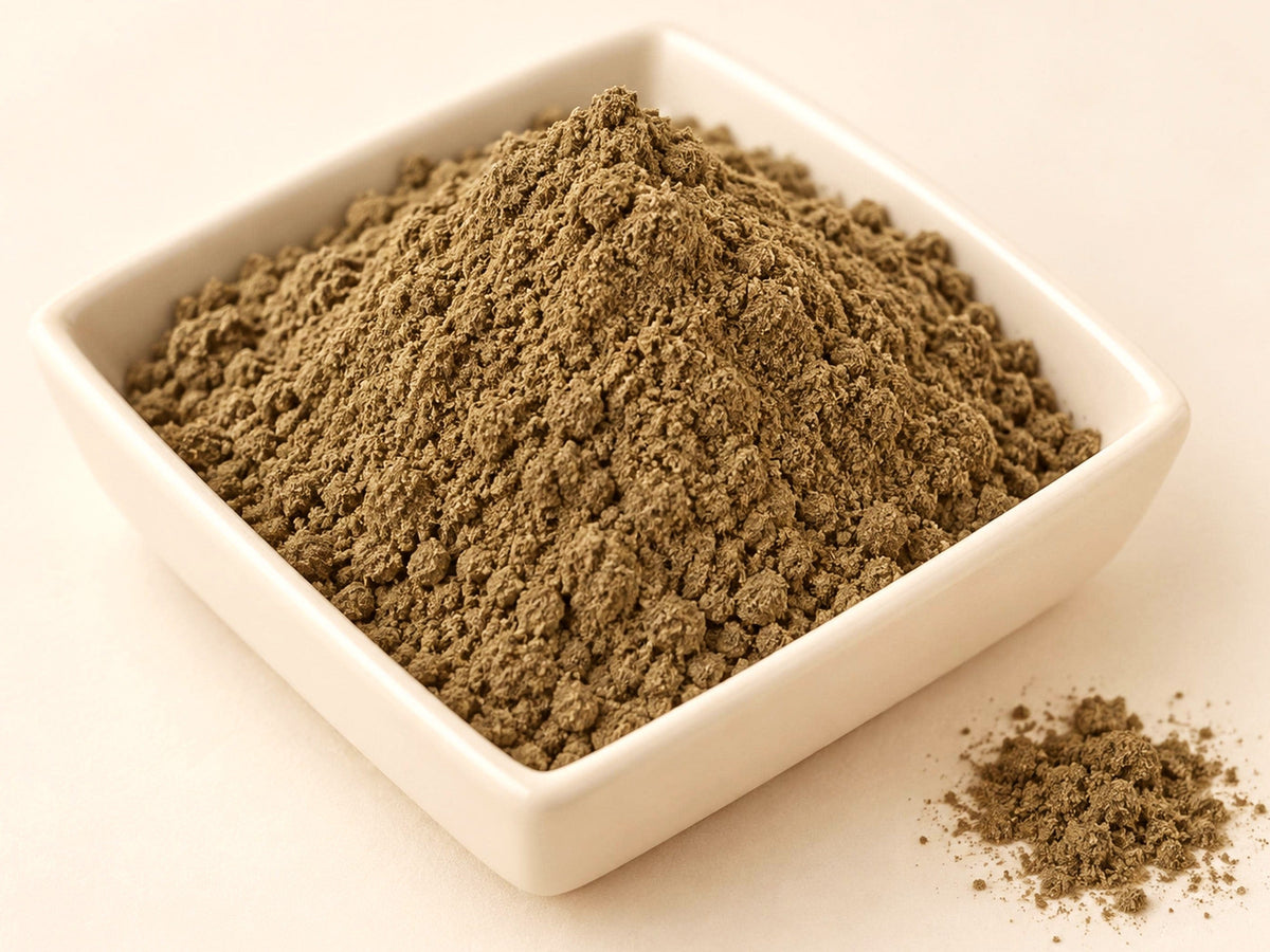 Chanca Piedra Extract 4:1 | Phyllanthus niruri | Wild Harvested Botanical Powder