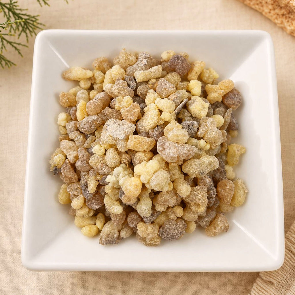 Boswellia serrata | Indian Frankincense Resin | Whole Resin Tears | Wild Crafted