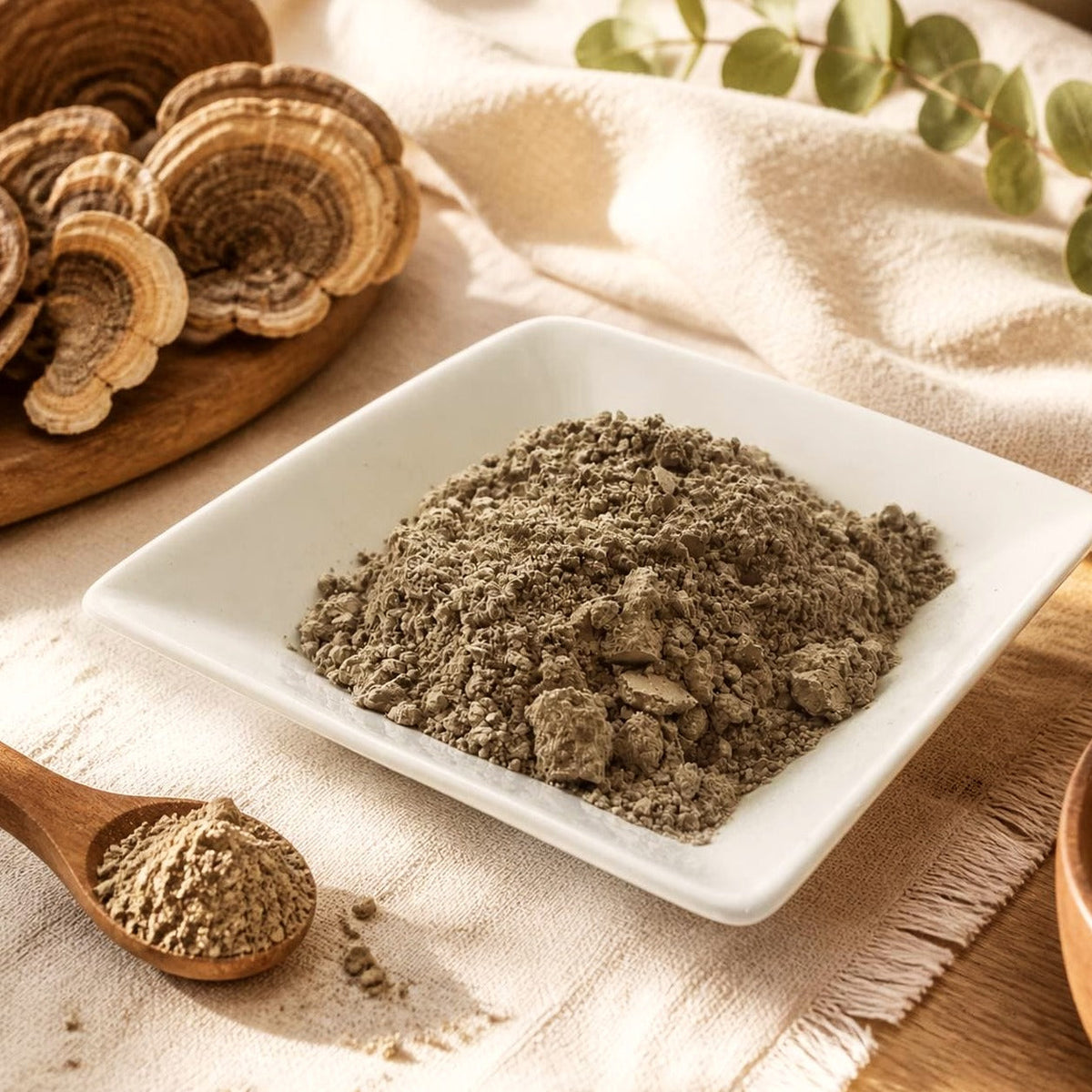 Turkey Tail Mushroom Powder | Coriolus versicolor | Fine Ground Culinary Ingredient
