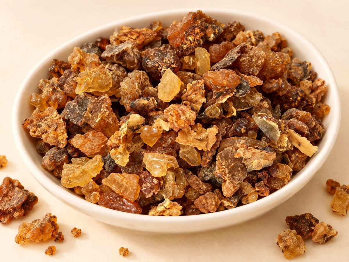Wildcrafted Myrrh Gum Pieces | Commiphora molmol | Natural Resin Tears