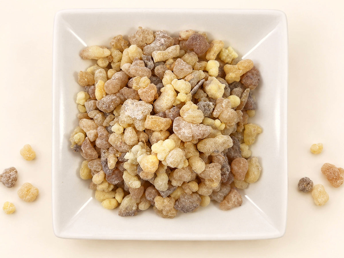 Frankincense Tears | Boswellia carteri | Wildcrafted Natural Botanical Resin