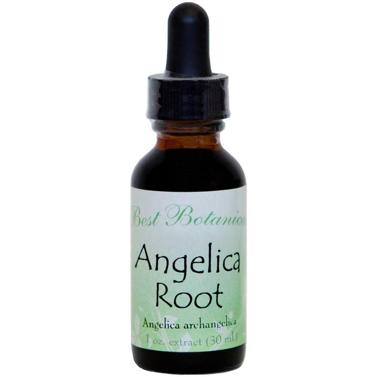 Angelica Root Tincture