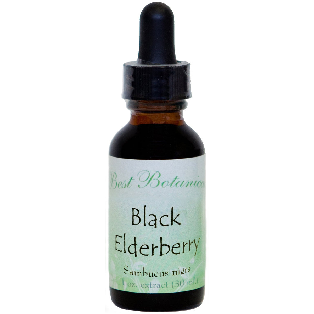 Black Elderberry Tincture