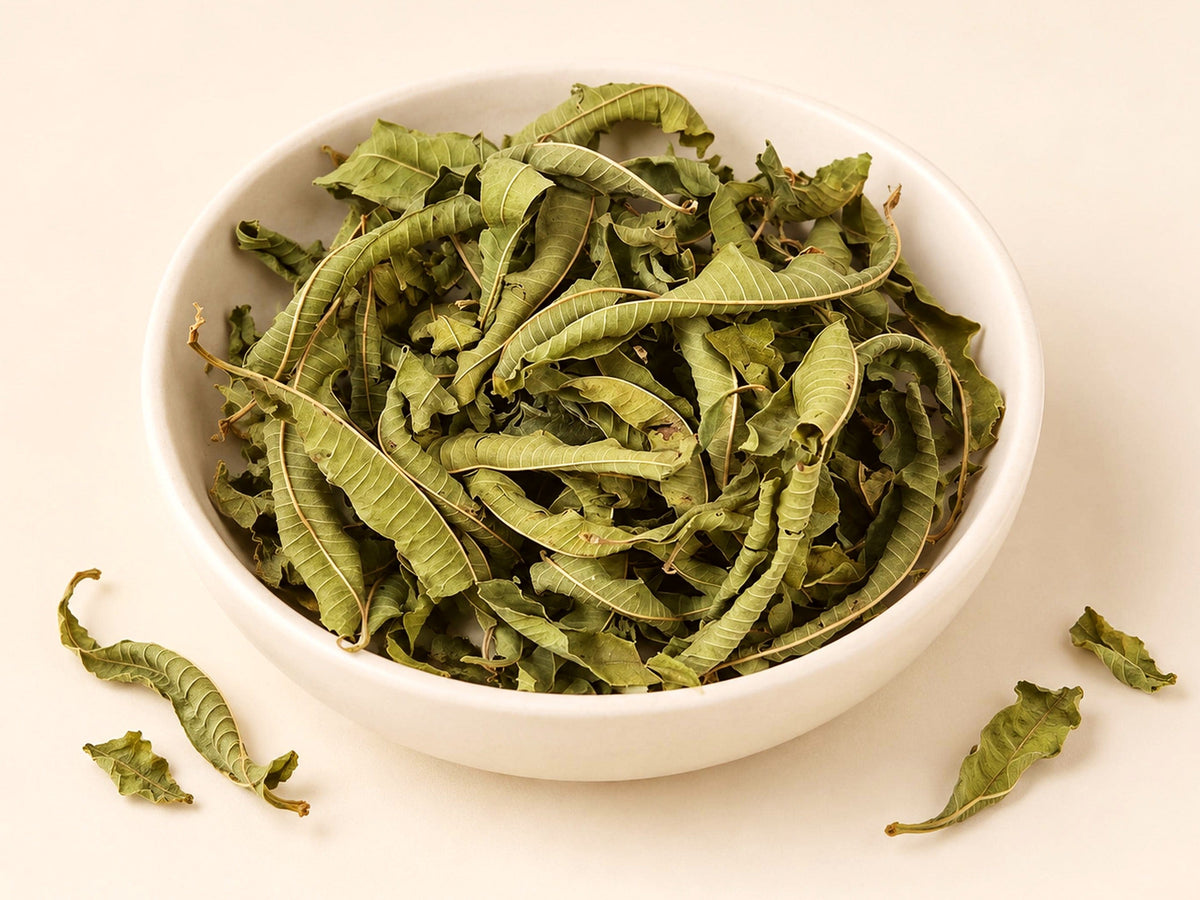 Lemon Verbena | Aloysia citrodora | Whole Leaf Botanical Herb | Wild Crafted