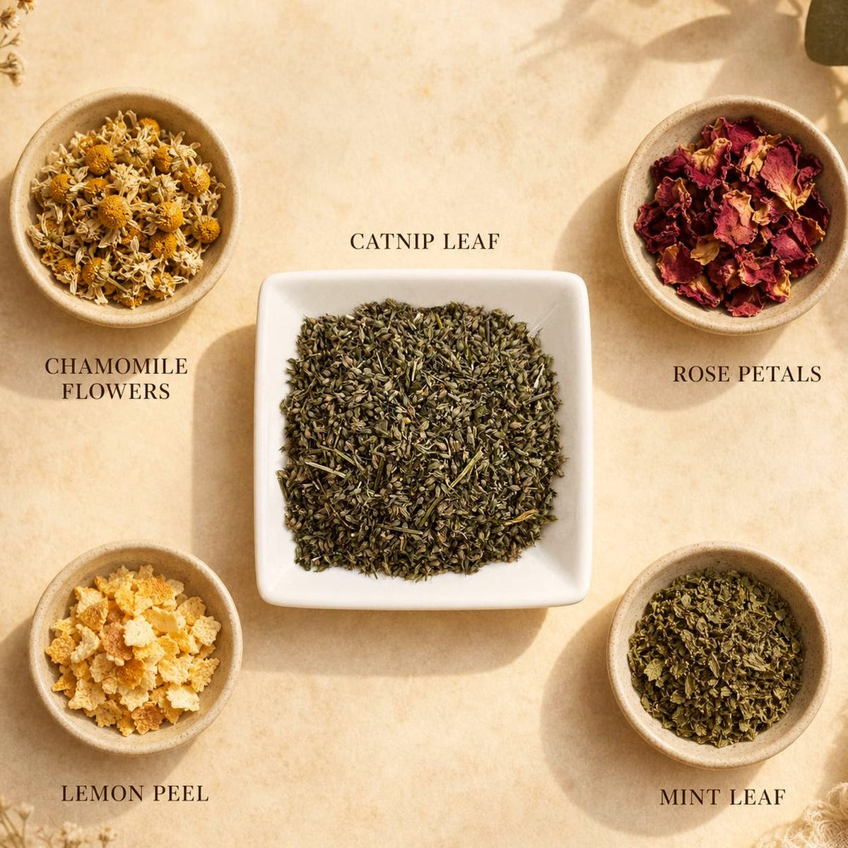 Catnip Leaf | Nepeta cataria | Cut & Sifted Herb | Botanical Tea Ingredient | Wild Crafted