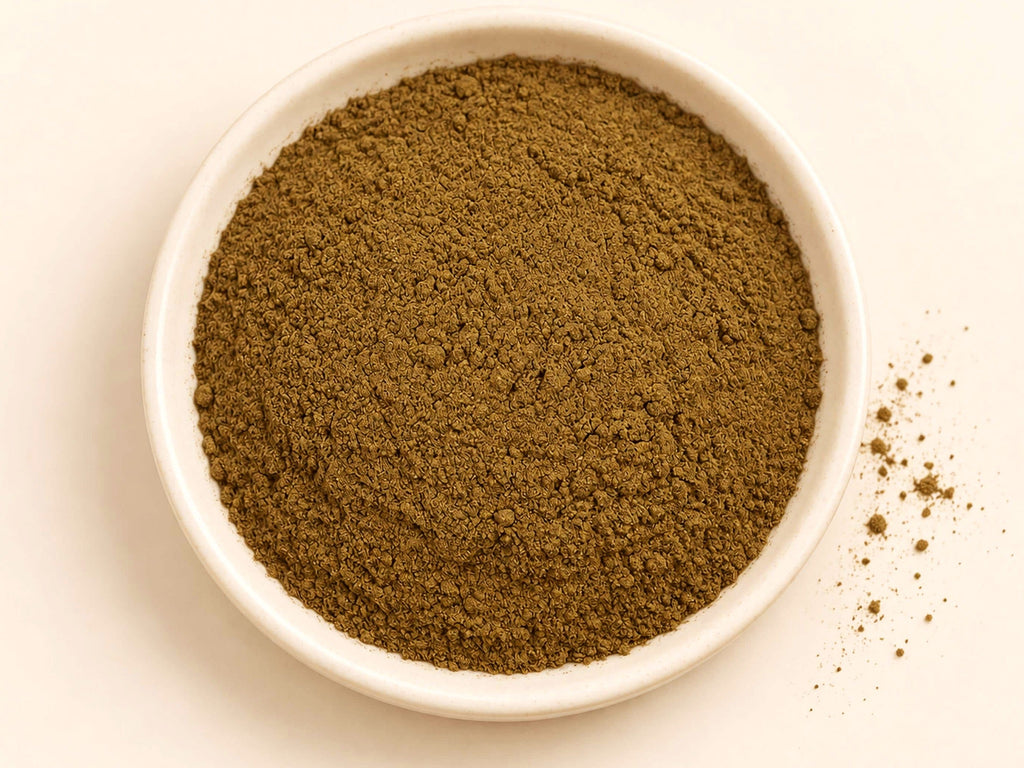 Brahmi Powder | Bacopa monnieri | Botanical Herbal Ingredient | Wild Crafted