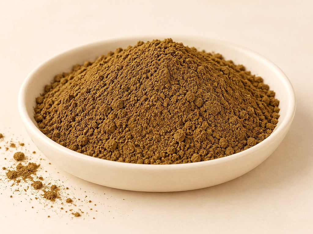 Brahmi Powder | Bacopa monnieri | Botanical Herbal Ingredient | Wild Crafted