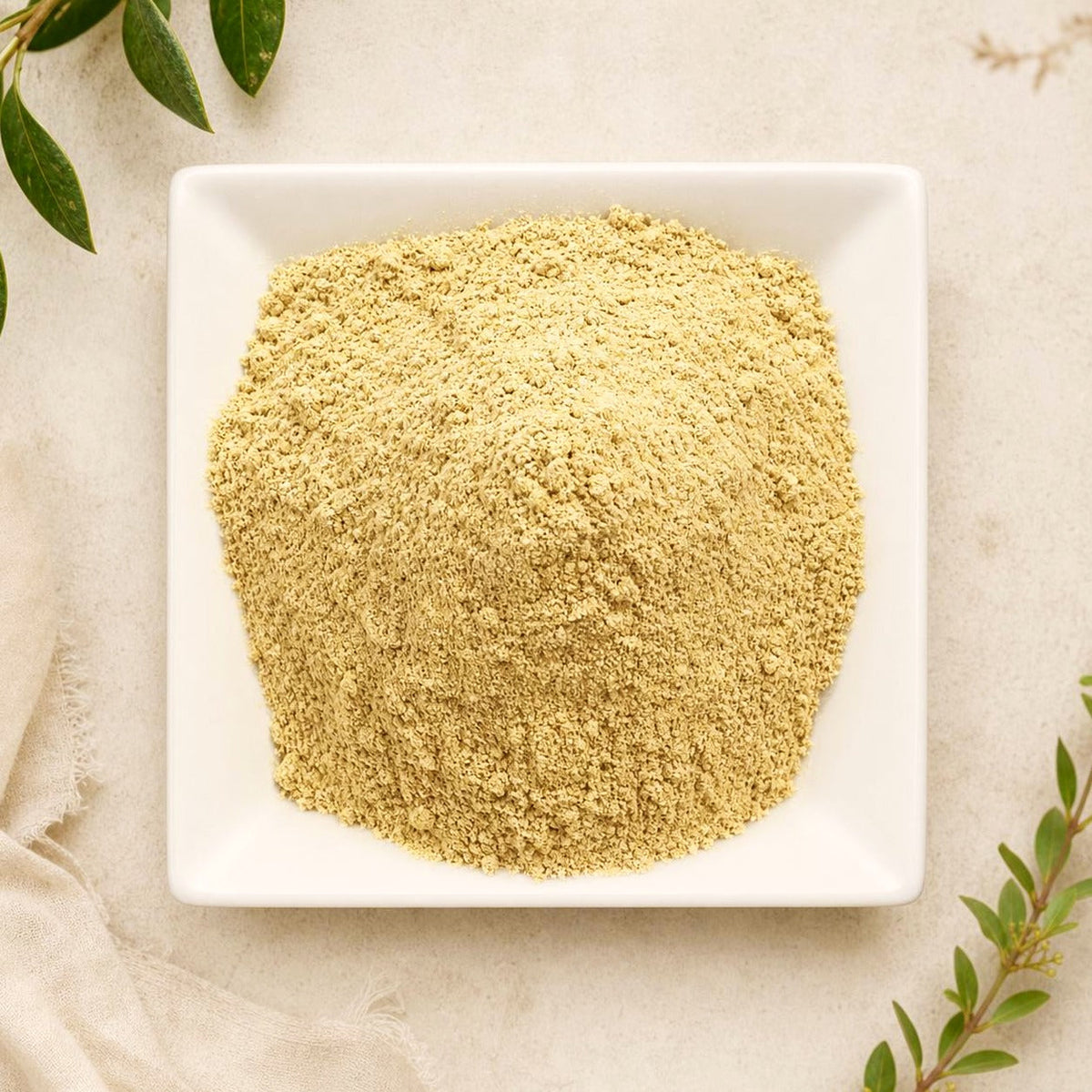 Garcinia Cambogia Extract 4:1 | Garcinia gummi-gutta | Concentrated Botanical Powder