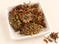 Klip Dagga Flower Tops | Leonotis nepetifolia | Wild Harvested Flowers