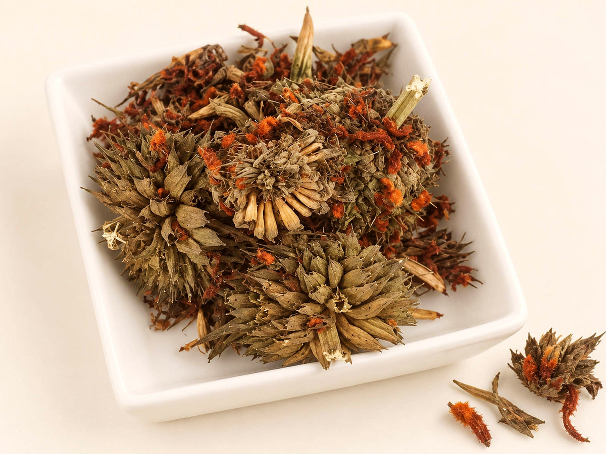 Klip Dagga Flower Tops | Leonotis nepetifolia | Wild Harvested Flowers