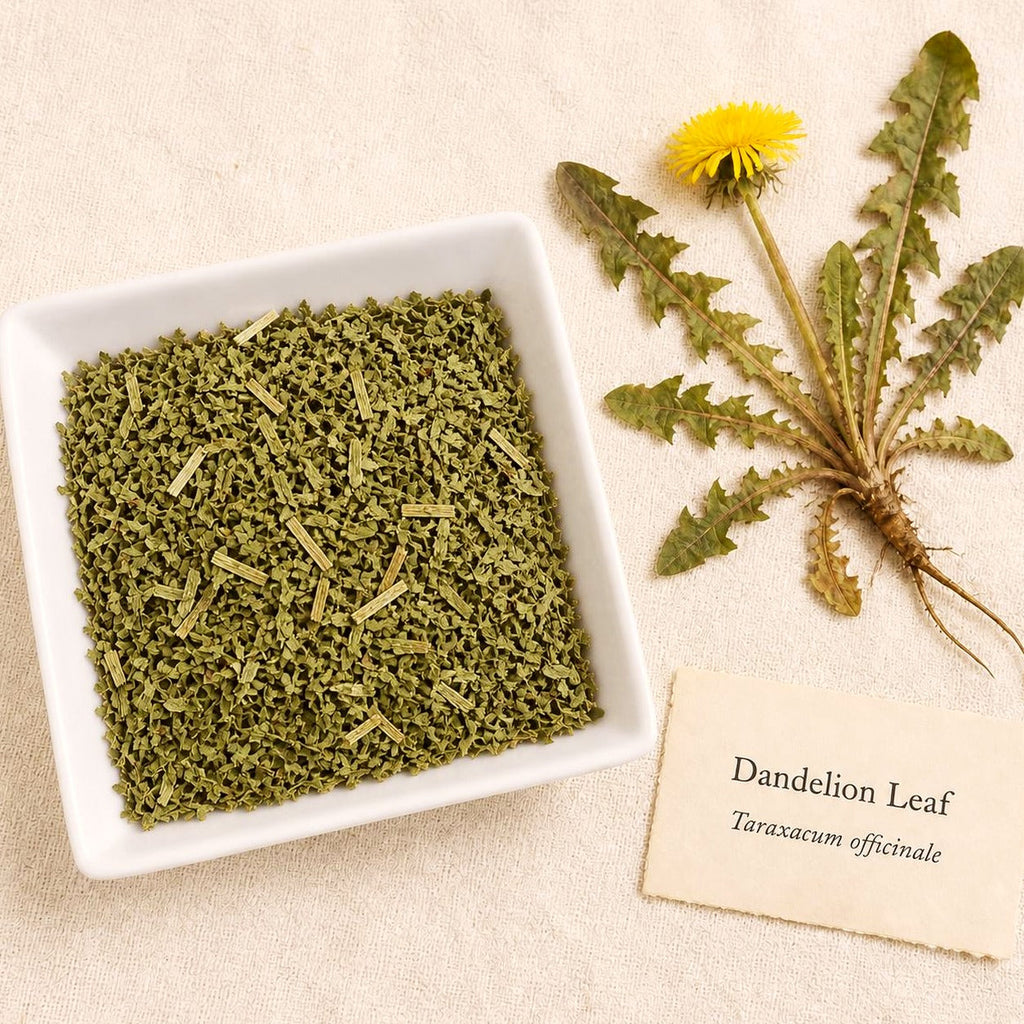 Dandelion Leaf C/s | Taraxacum officinale | Cut & Sifted | Herbal Tea Ingredient | Wild Crafted