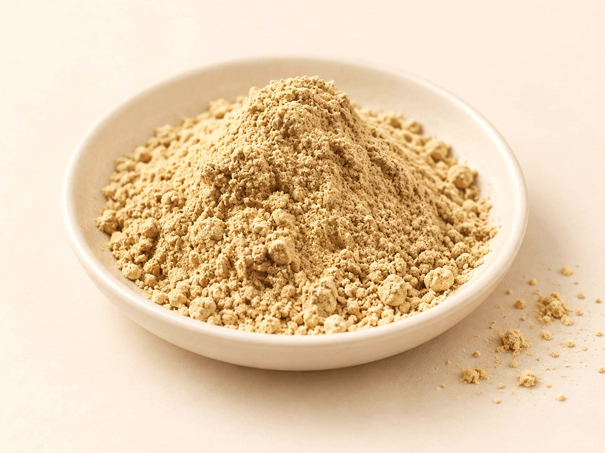 Astragalus Root Powder | Astragalus membranaceus | Fine Ground Botanical Huang Qi