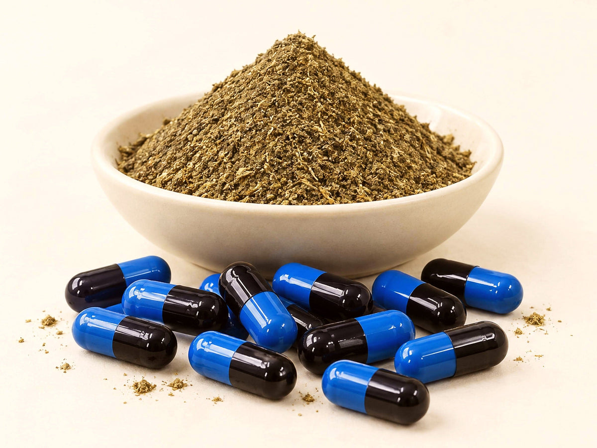 Kanna Powder Capsules | Sceletium tortuosum | 500mg Botanical Capsules | Wild Crafted