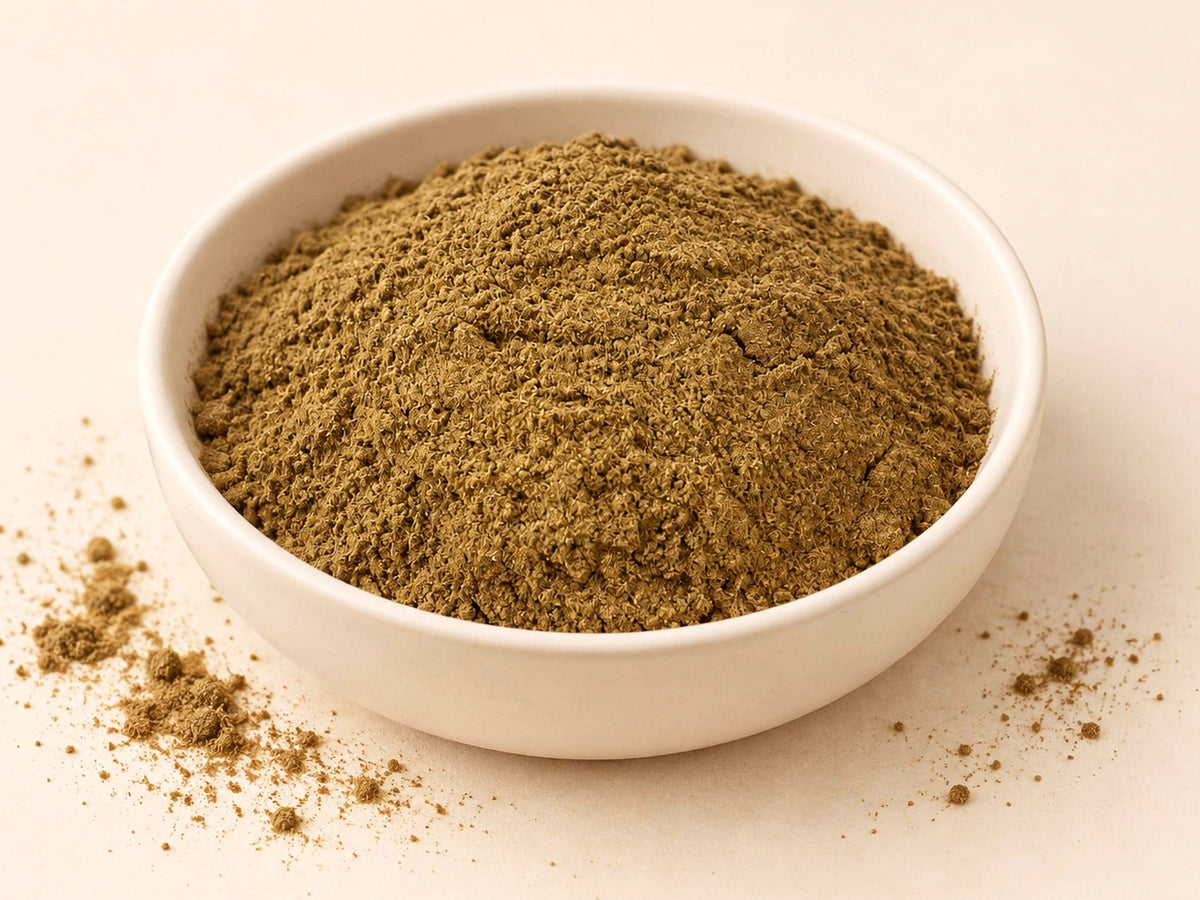 Mimosa Pudica Powder | Sensitive Plant | Fine Ground Botanical Ingredient | Wild Crafted