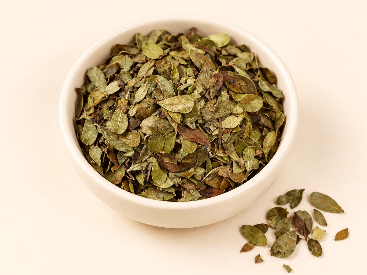 Uva Ursi Leaf | Arctostaphylos uva-ursi | Cut & Sifted Herbal Tea Ingredient | Wild Crafted