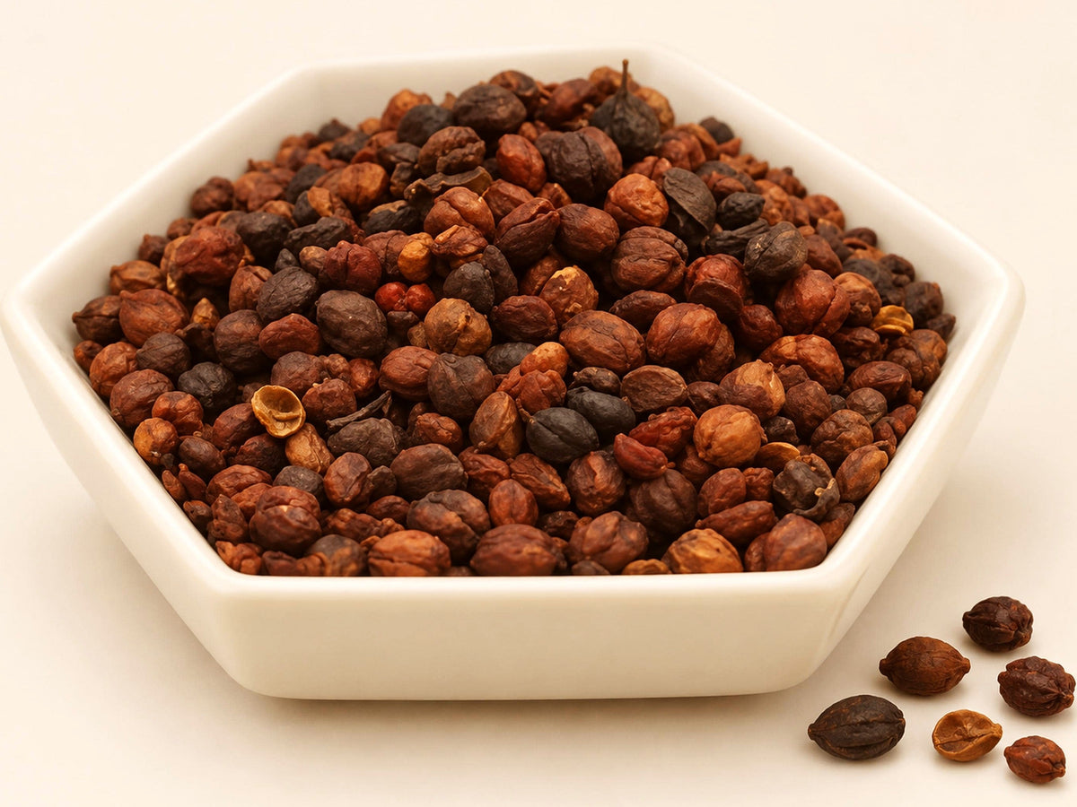 Celastrus Paniculatus Seeds | Malkangani Seeds | Wild Harvested | Whole Botanical