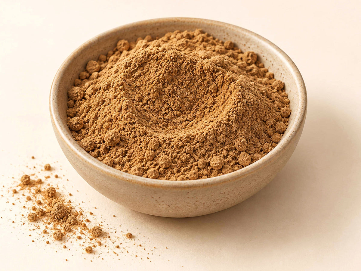 Red Root Powder | Ceanothus americanus | Fine Ground Botanical Ingredient | Wild Crafted