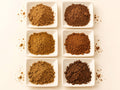 Mushroom Powder Variety Pack | Lion's Mane, Reishi, Chaga & Shiitake