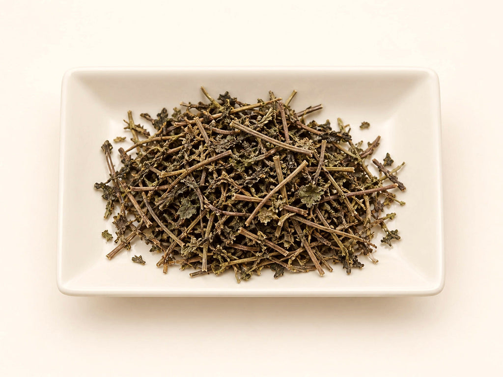 Gotu Kola Herb | Centella asiatica | Cut & Sifted Herbal Tea Ingredient | Wild Crafted