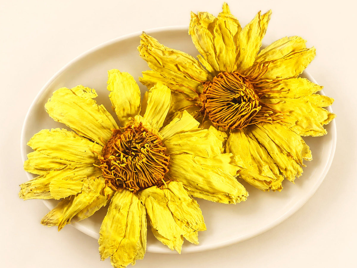 Yellow Lotus Flowers | Nelumbo lutea | Whole Dried Flowers | Wild Crafted