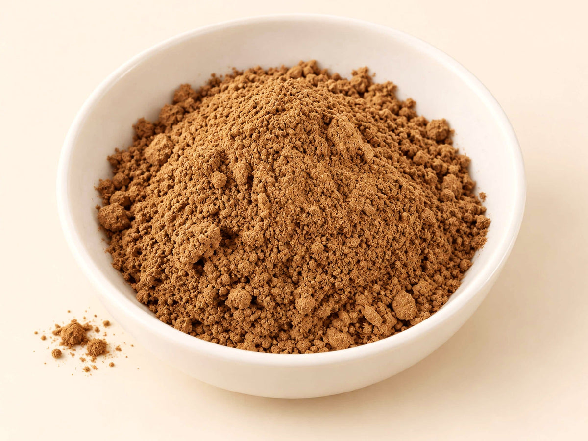 Red Reishi 10:1 Extract Powder | Ganoderma lucidum | Concentrated Mushroom Extract
