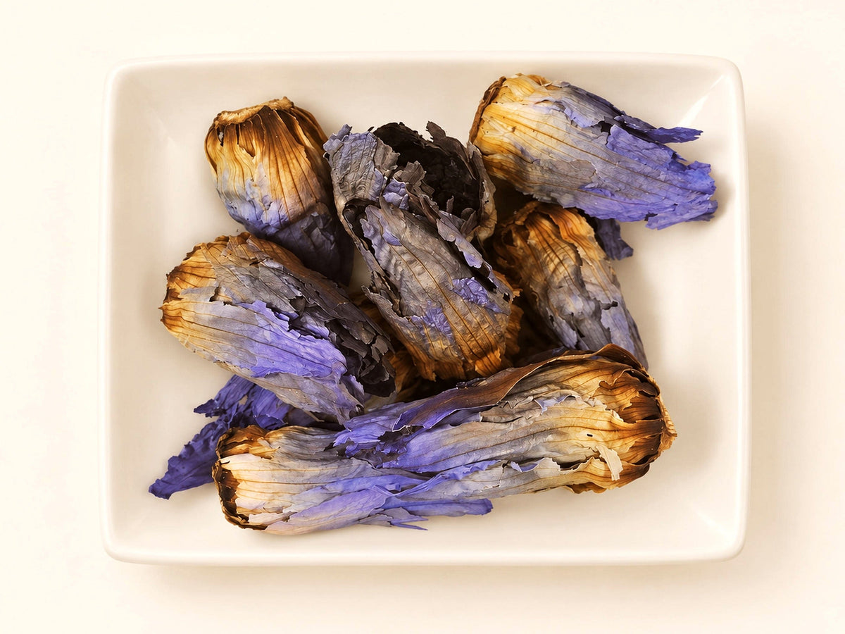 Blue Lotus Bulb Flowers | Nymphaea caerulea | Whole Blooming Flowers
