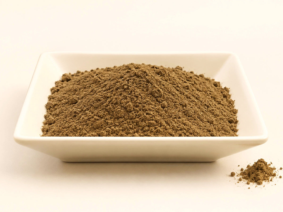 Hops Flower Powder | Humulus lupulus | Fine Herbal Botanical Ingredient | Wild Crafted