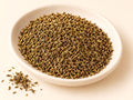 Thyme Leaf C/S | Thymus vulgaris | Culinary Herb | Cut & Sifted Herbal Botanical | Wild Crafted