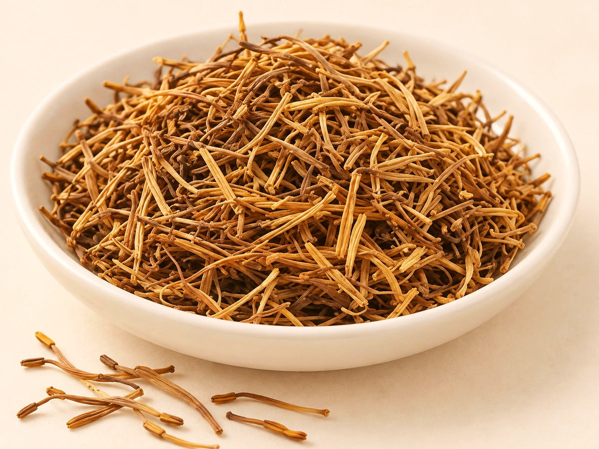 Sacred Lotus Stamens | Nelumbo nucifera | Dried Flower Stamens | Wild Crafted
