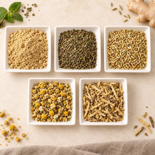 After Dinner Bundle: five white dishes of beige powder, dried green leaves, fennel seeds, chamomile flowers and root shreds. Second overhead view.