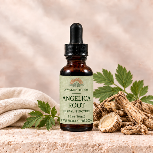 Awaken Herbs Angelica Root tincture bottle with botanical styling