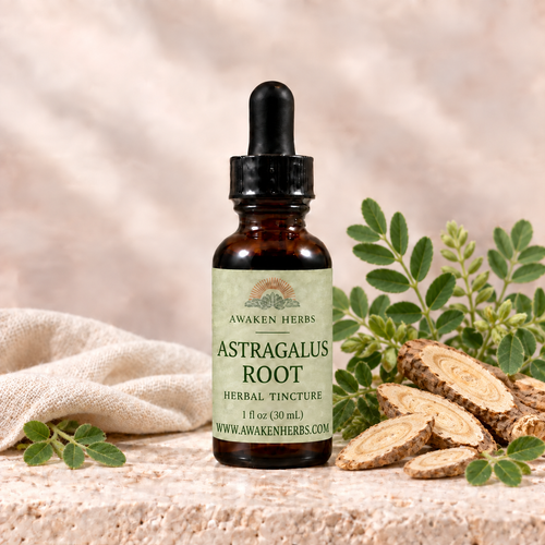 Awaken Herbs Astragalus Root tincture bottle with botanical styling