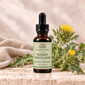 Awaken Herbs Blessed Thistle Herb Tincture, 1 fl oz bottle with blessed thistle