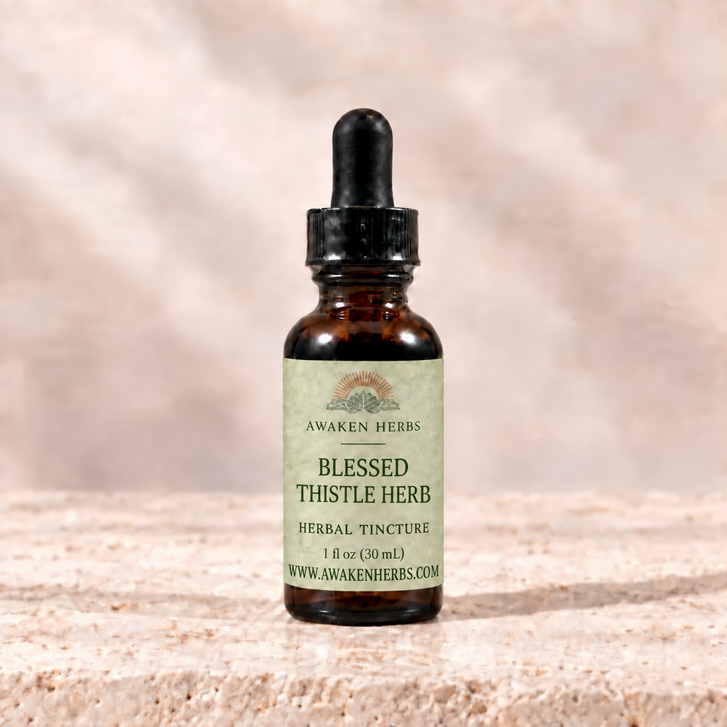 Awaken Herbs Blessed Thistle Herb Tincture, 1 fl oz bottle on pale stone