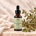 Awaken Herbs Chaparral Leaf tincture bottle with botanical styling