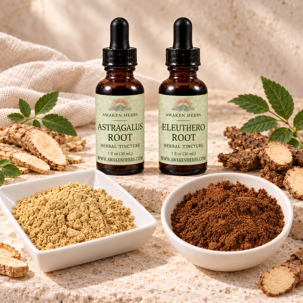Forest & Root Bundle: Astragalus Root and Eleuthero Root tinctures with separate dishes of Lion's Mane and Red Reishi mushroom powders. View 1.
