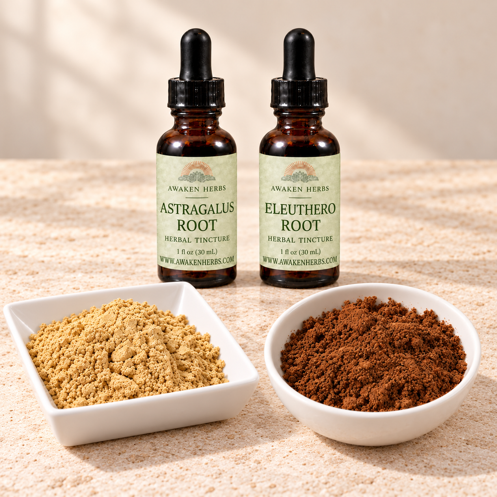 Forest & Root Bundle: Astragalus Root and Eleuthero Root tinctures with separate dishes of Lion's Mane and Red Reishi mushroom powders. View 2.