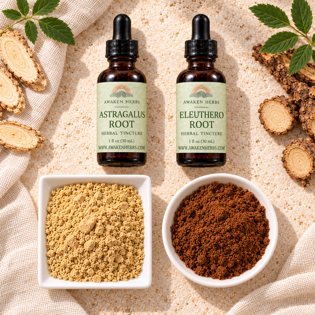 Forest & Root Bundle: Astragalus Root and Eleuthero Root tinctures with separate dishes of Lion's Mane and Red Reishi mushroom powders. View 3.